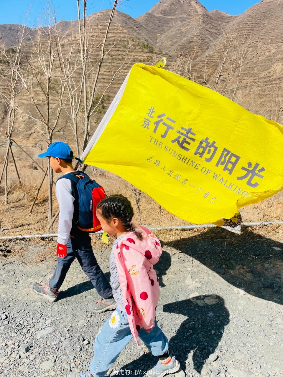 mmexport1678628031146