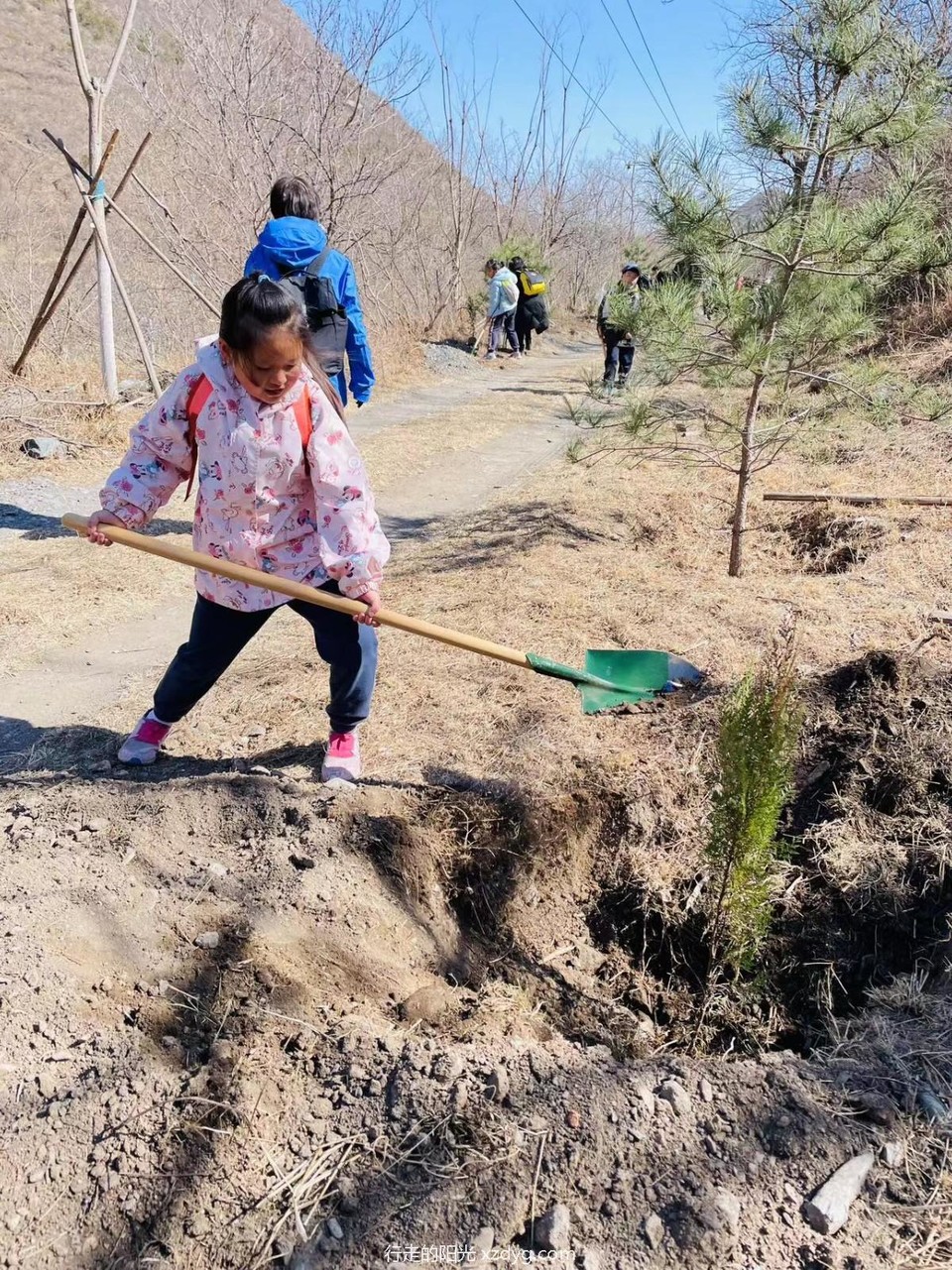 mmexport1678628021216