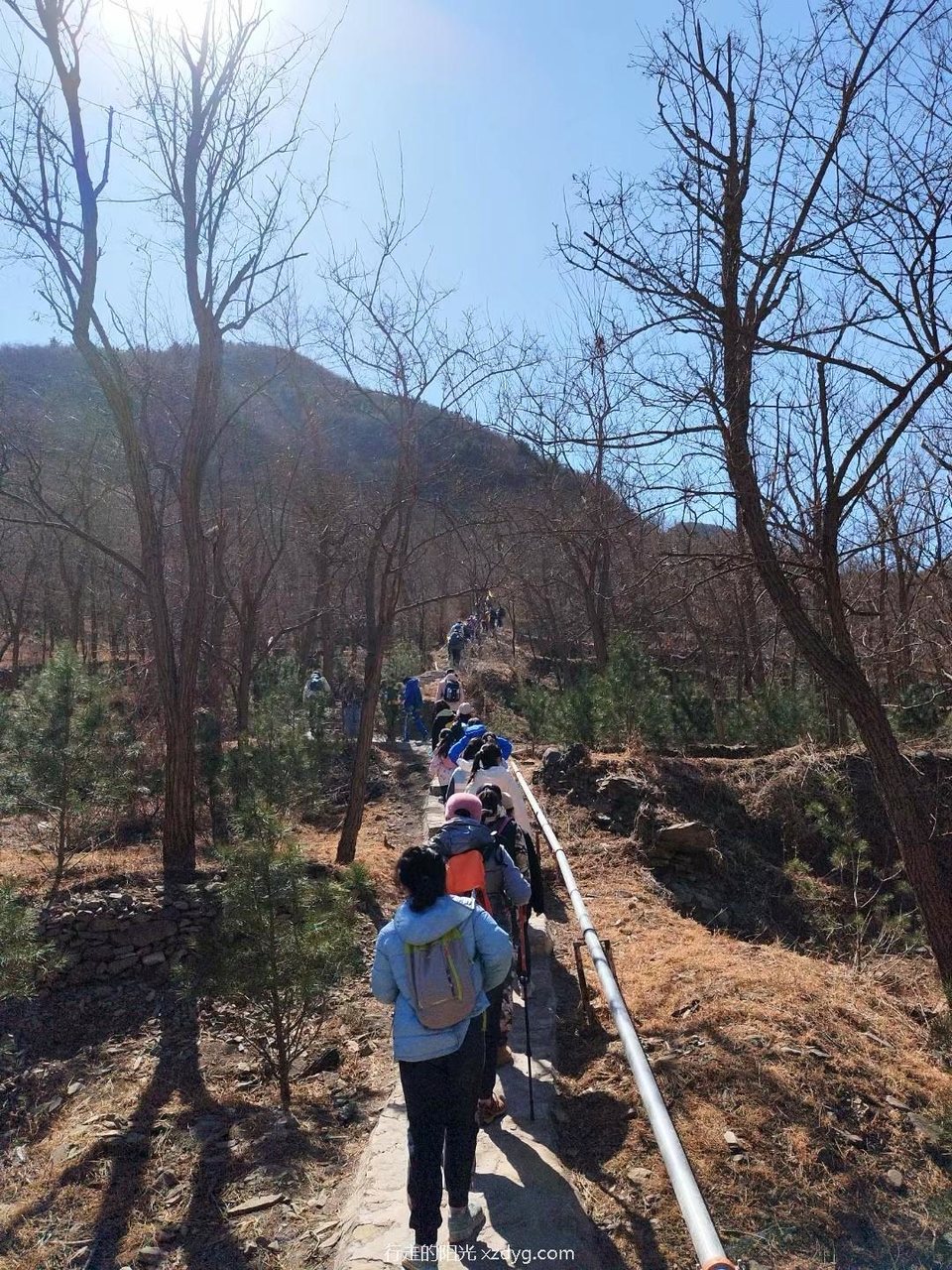 mmexport1678628059040_edit_280537195087401