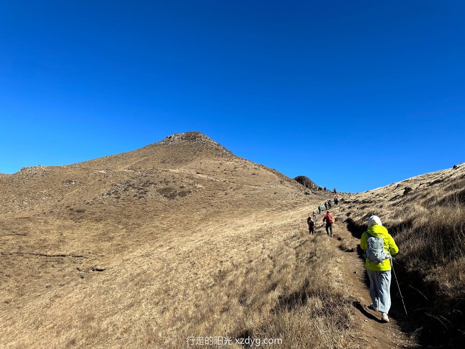 mmexport1679153282873_edit_564715774979976