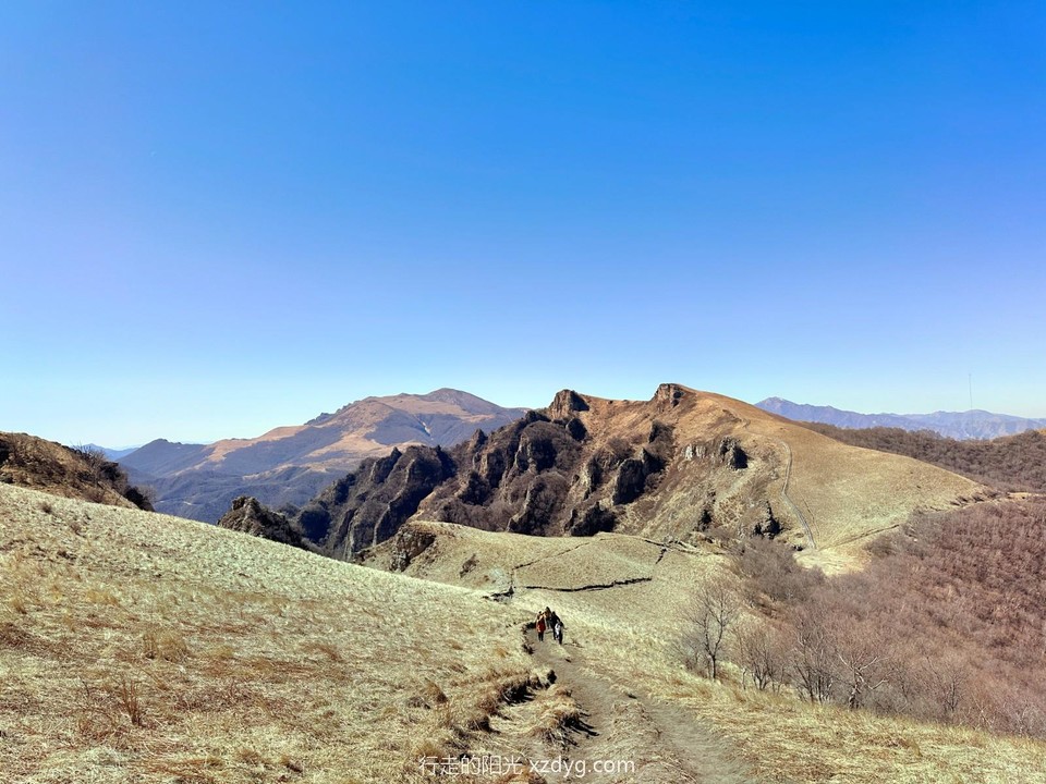 mmexport1679153249397_edit_564733359690390