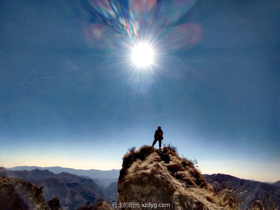 mmexport1679153134432_edit_564747505357055