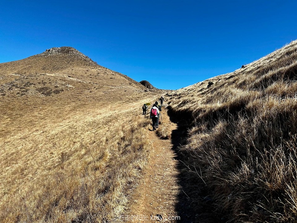 mmexport1679153027146_edit_564774768610175