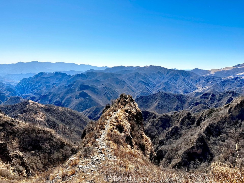 mmexport1679152895309_edit_564878039371618