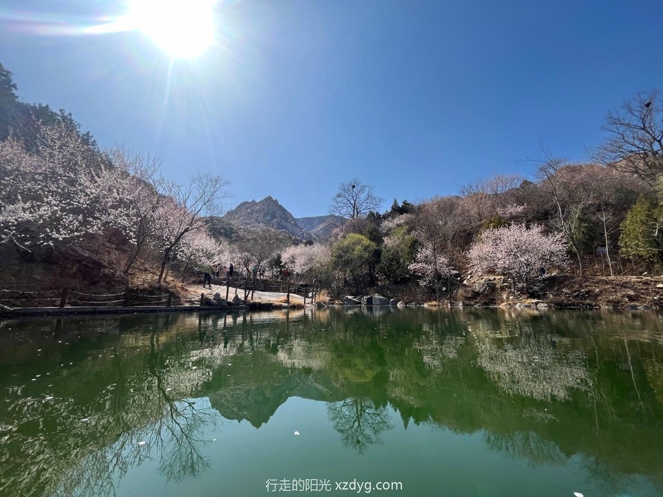 mmexport1679797752582_edit_922379951817067