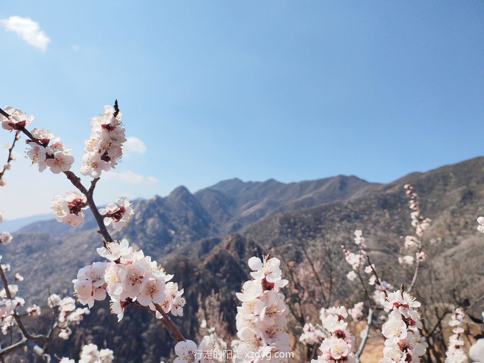 mmexport1679797712294