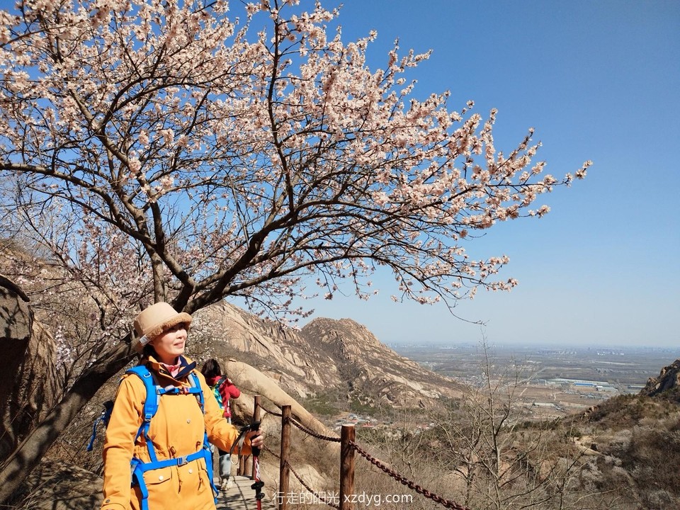 mmexport1679797505644