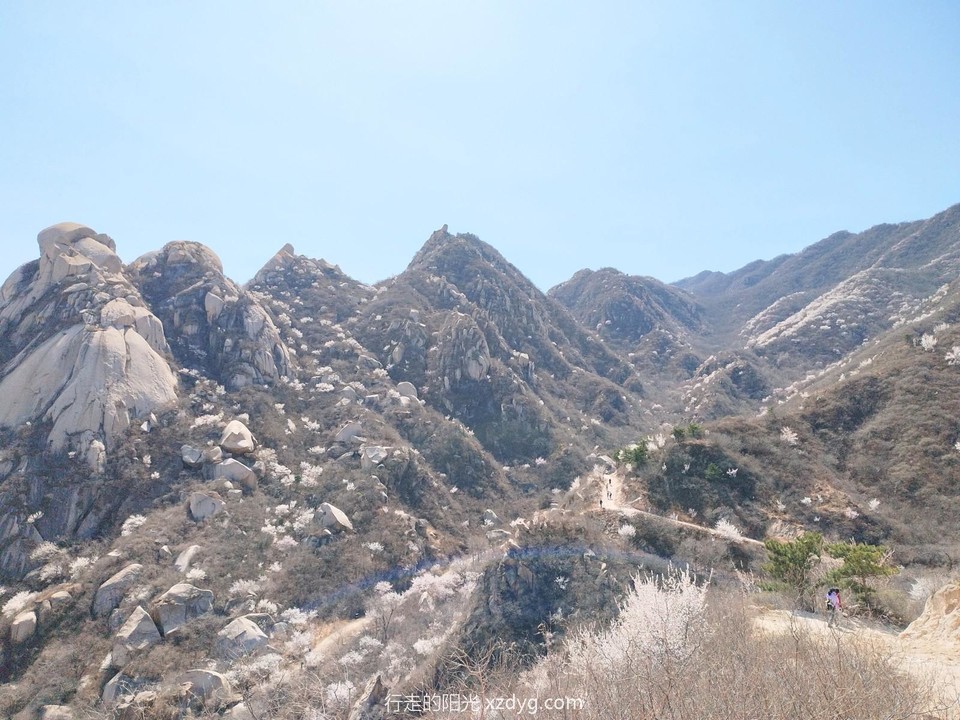 mmexport1679797489813_edit_922392683238940