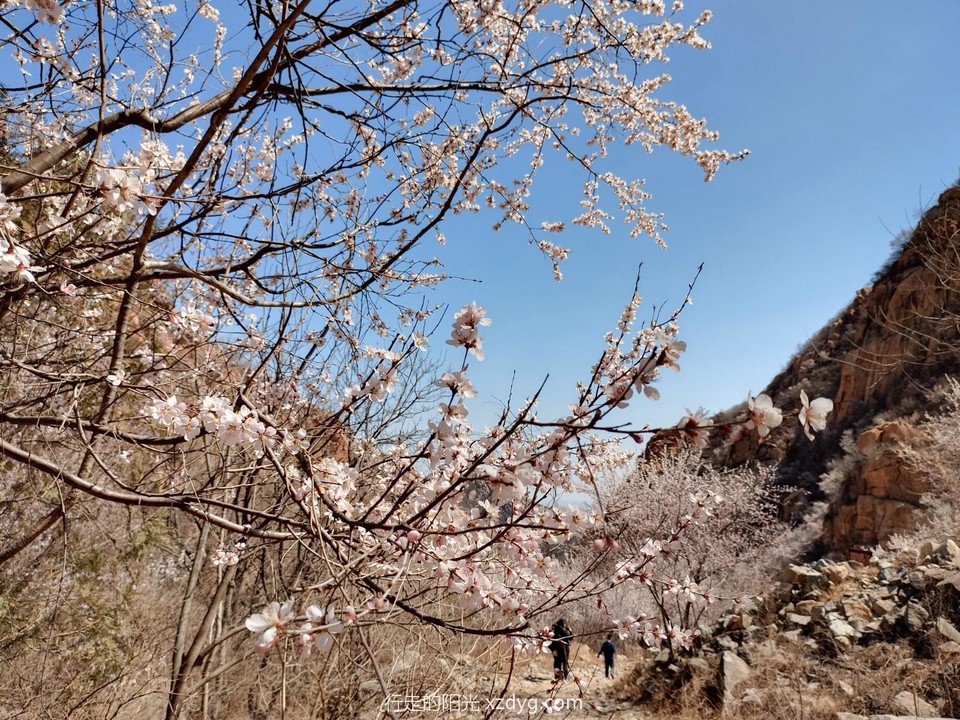 mmexport1679797479376_edit_922400702138939