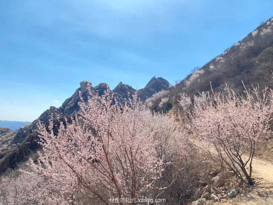 mmexport1679798722694