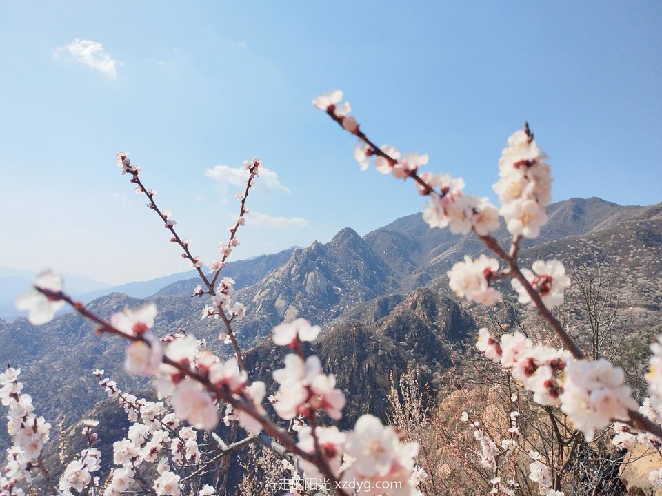 mmexport1679799925440