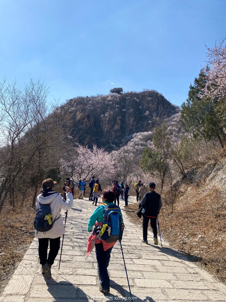 mmexport1679799945080_edit_924138466043362