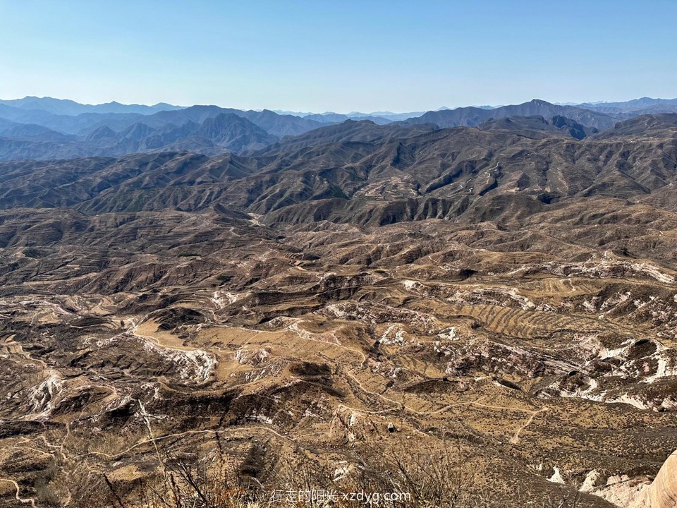 mmexport1679746079457_edit_899273556943510