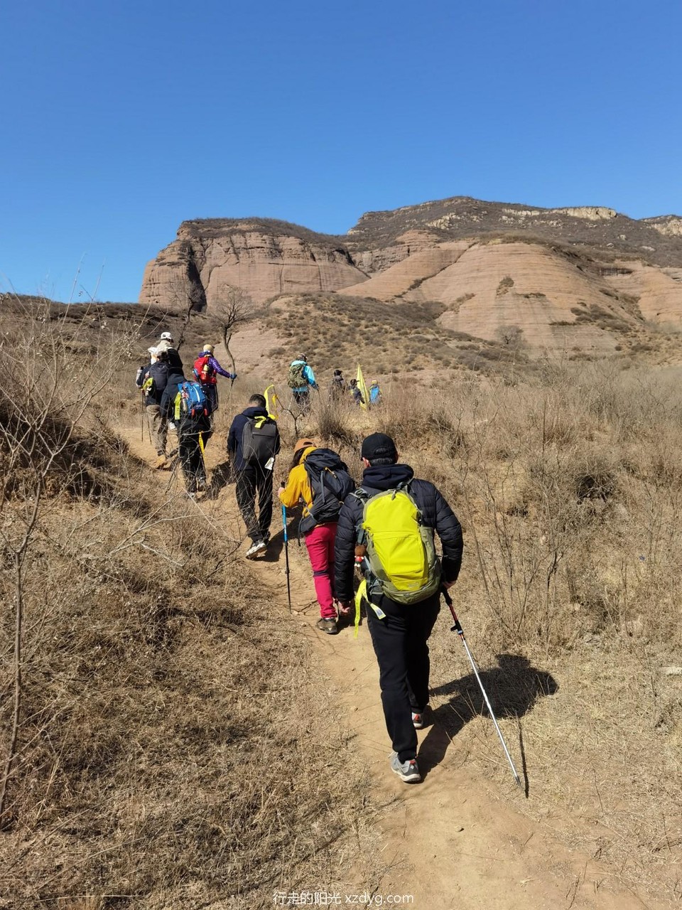 IMG_20230325_102544_edit_888455638554535