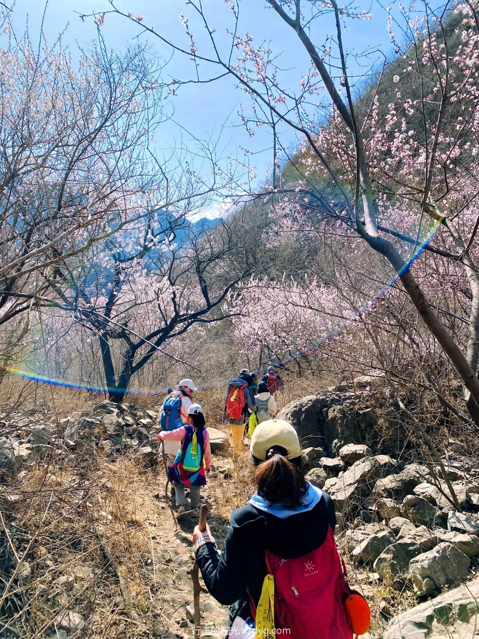 mmexport1679885074585_edit_975561452865203