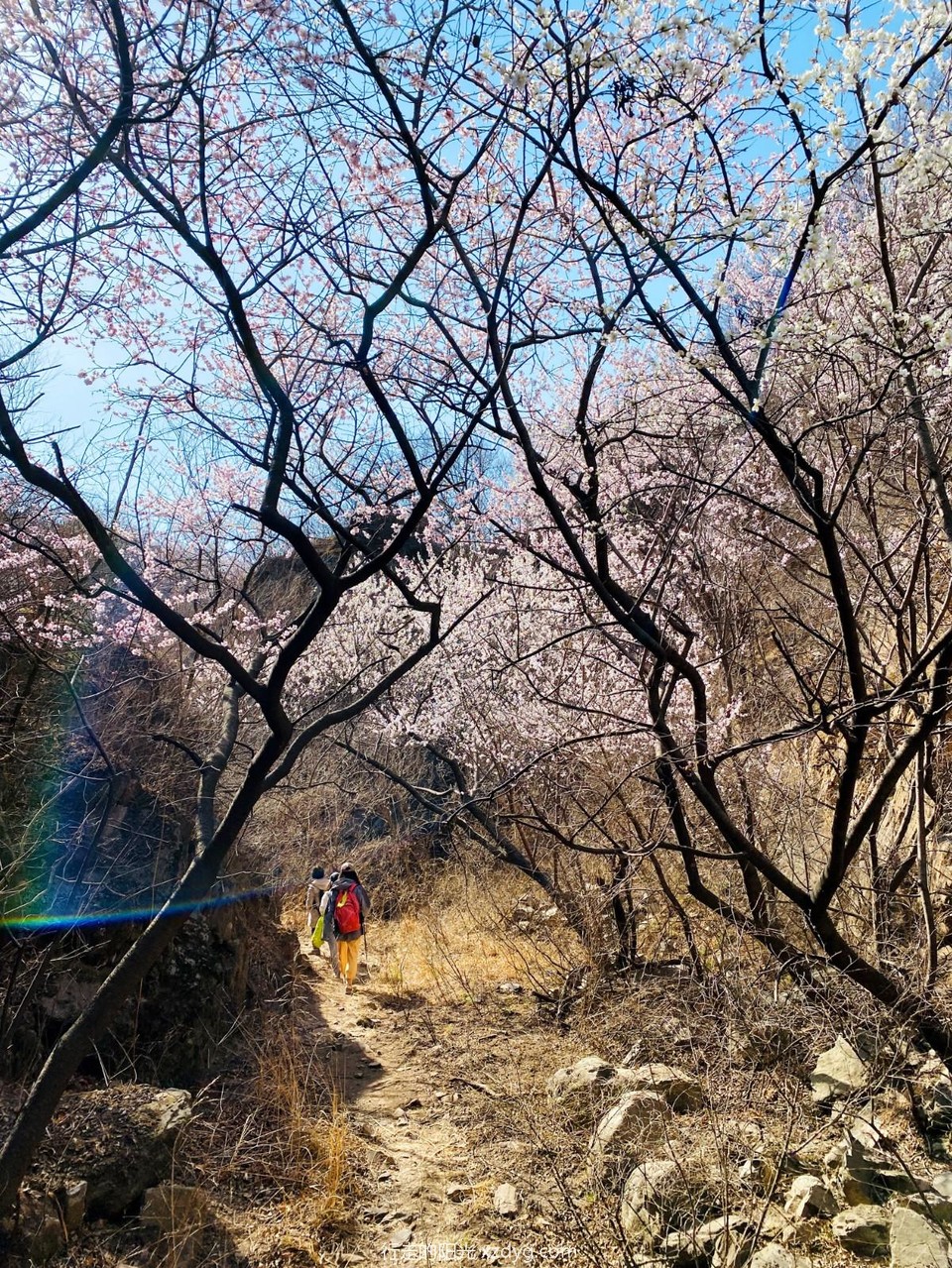 mmexport1679885085484_edit_975554082695412