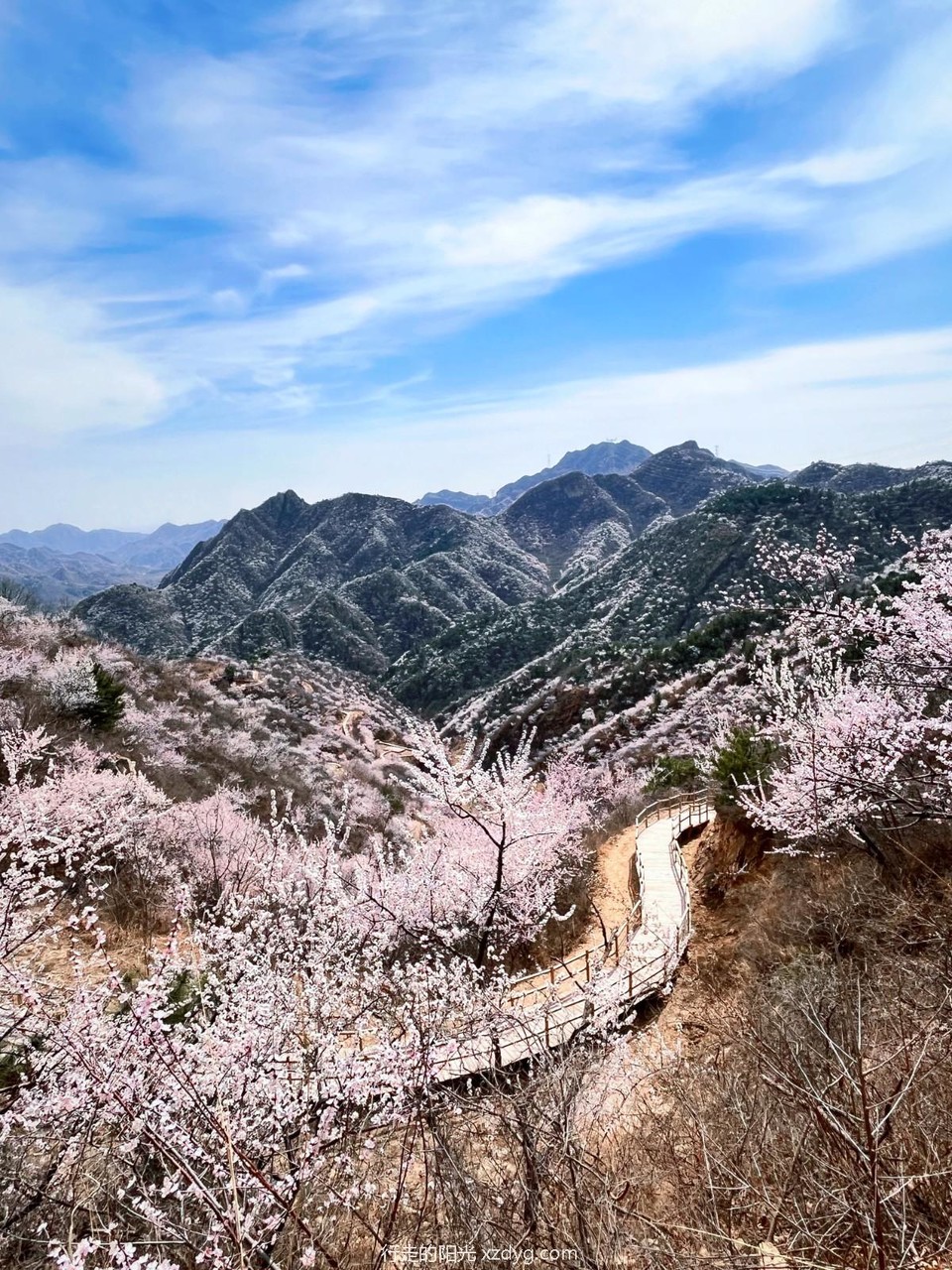 mmexport1679885143340_edit_975547421025101