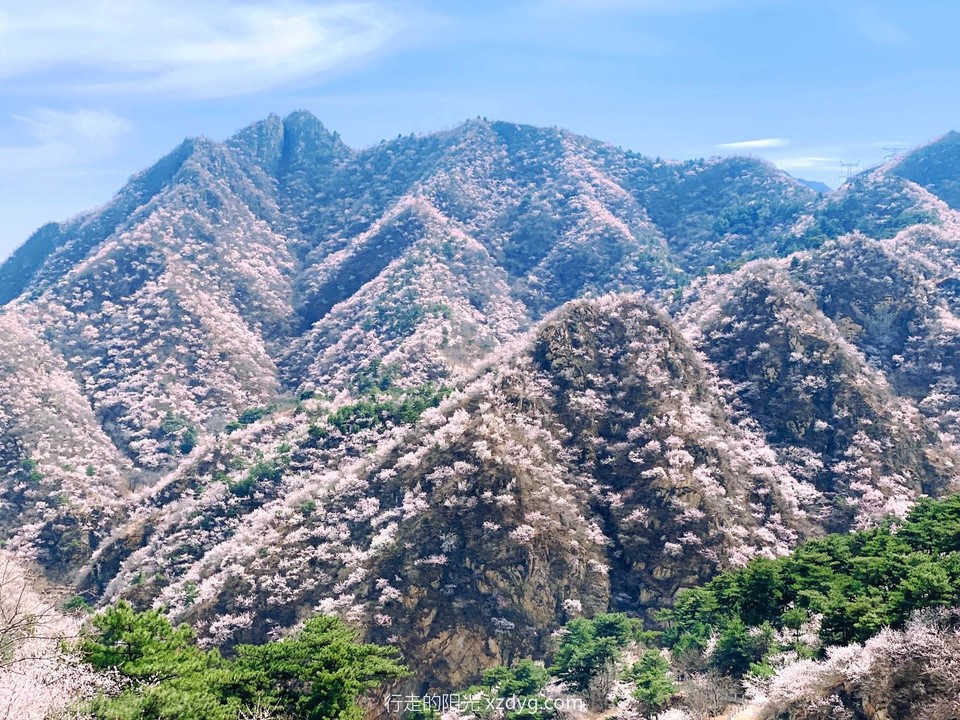 mmexport1679838934312_edit_955154865518837