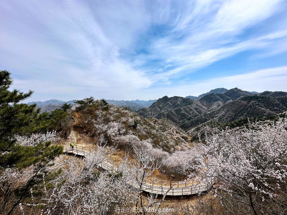 mmexport1679830185033_edit_946975583513835