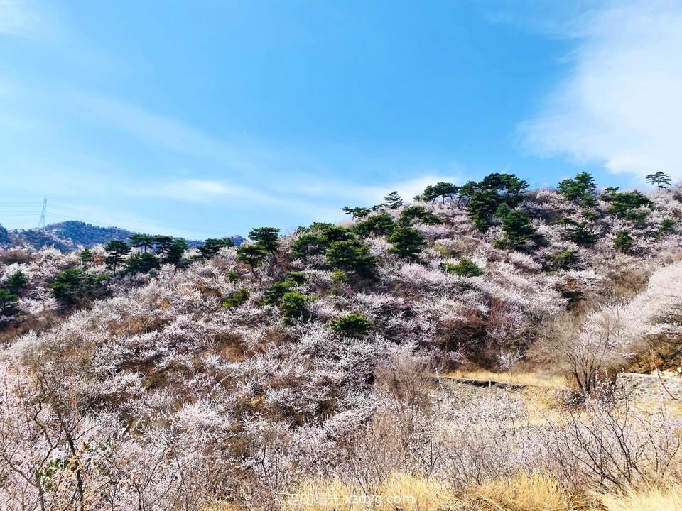 mmexport1679830146377_edit_946969062859670