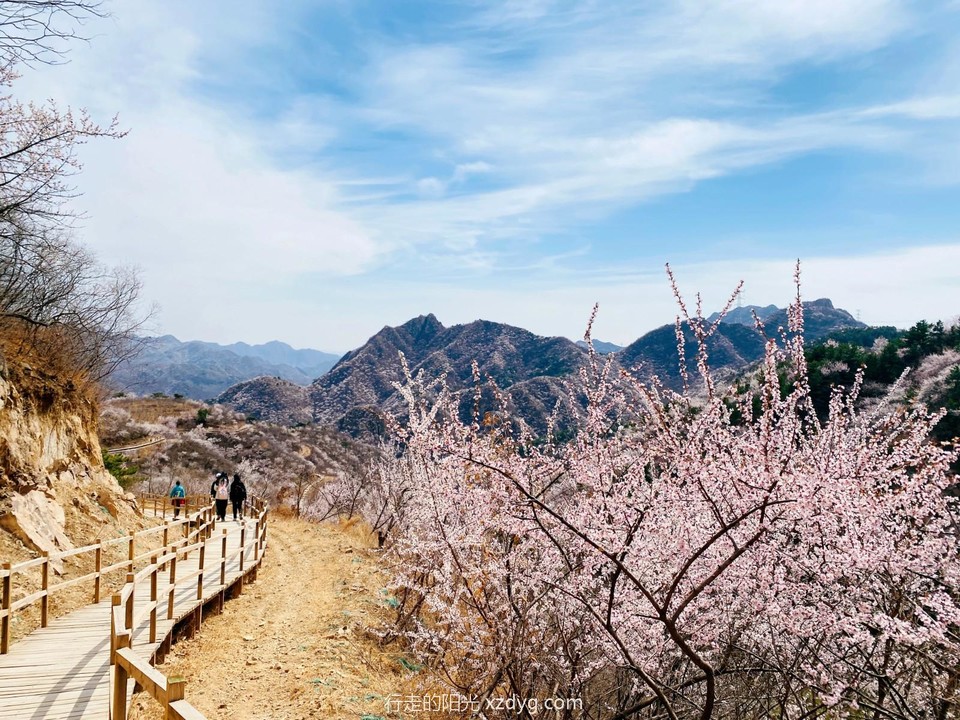 mmexport1679830136077_edit_946962515945087