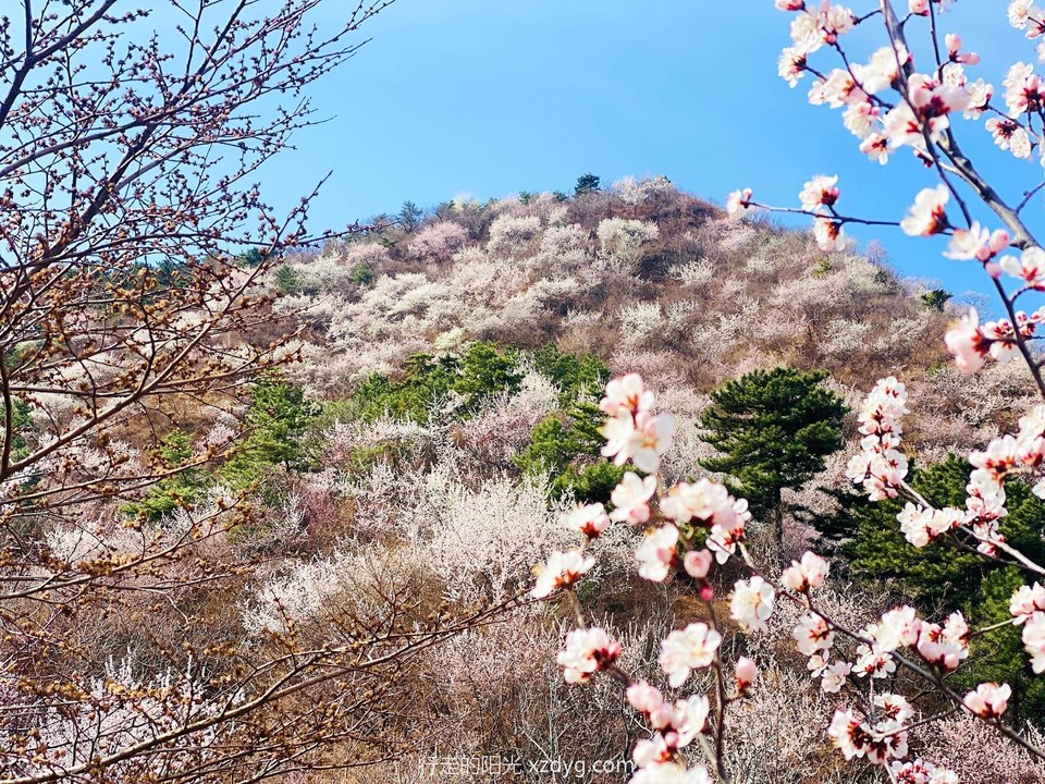 mmexport1679830105334_edit_946945270673736