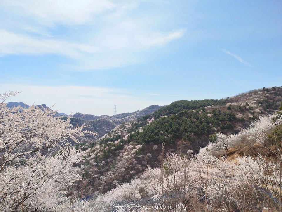 mmexport1679830061398_edit_946934970178425