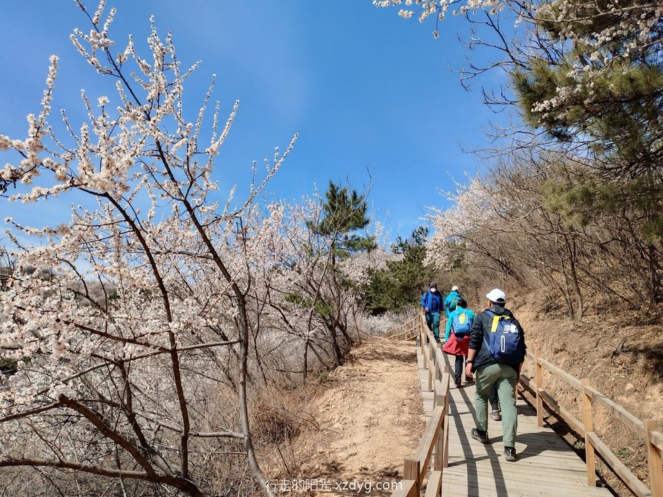 mmexport1679830049057_edit_946913678949782