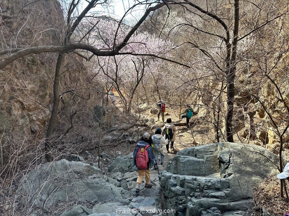 mmexport1679830008281_edit_946868064907602