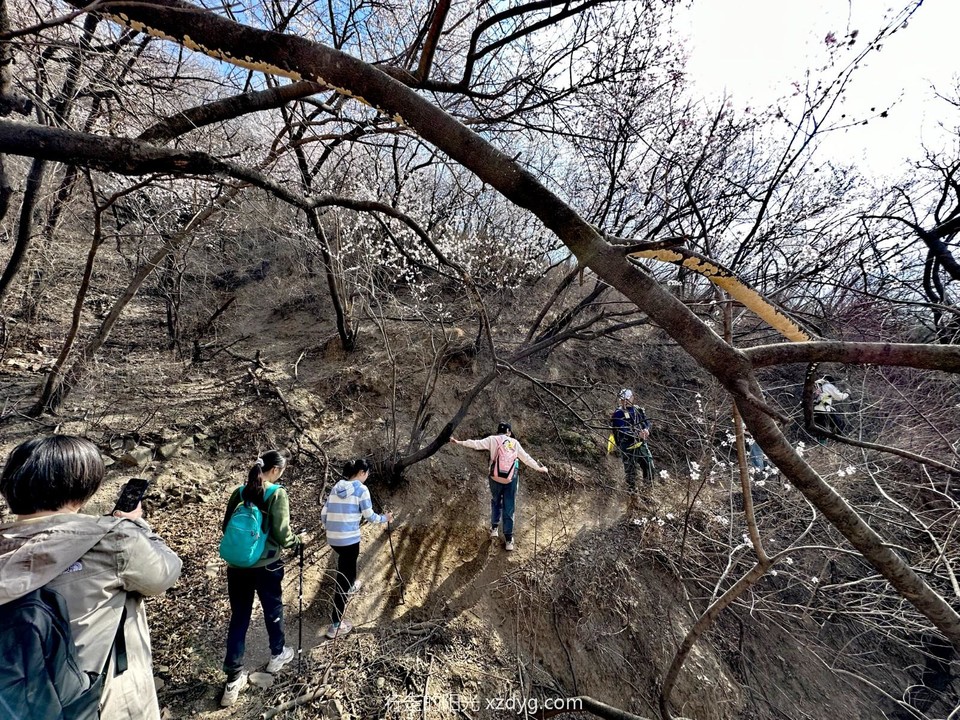 mmexport1679829987096_edit_946844881847188