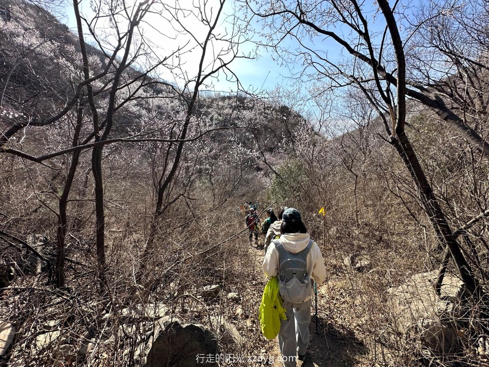 mmexport1679829996308_edit_946859441645624