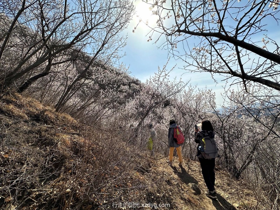 mmexport1679829975730_edit_946826093737816