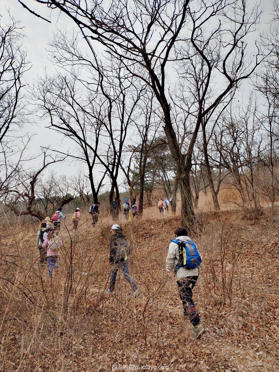 mmexport1680444195448_edit_1264633192558594