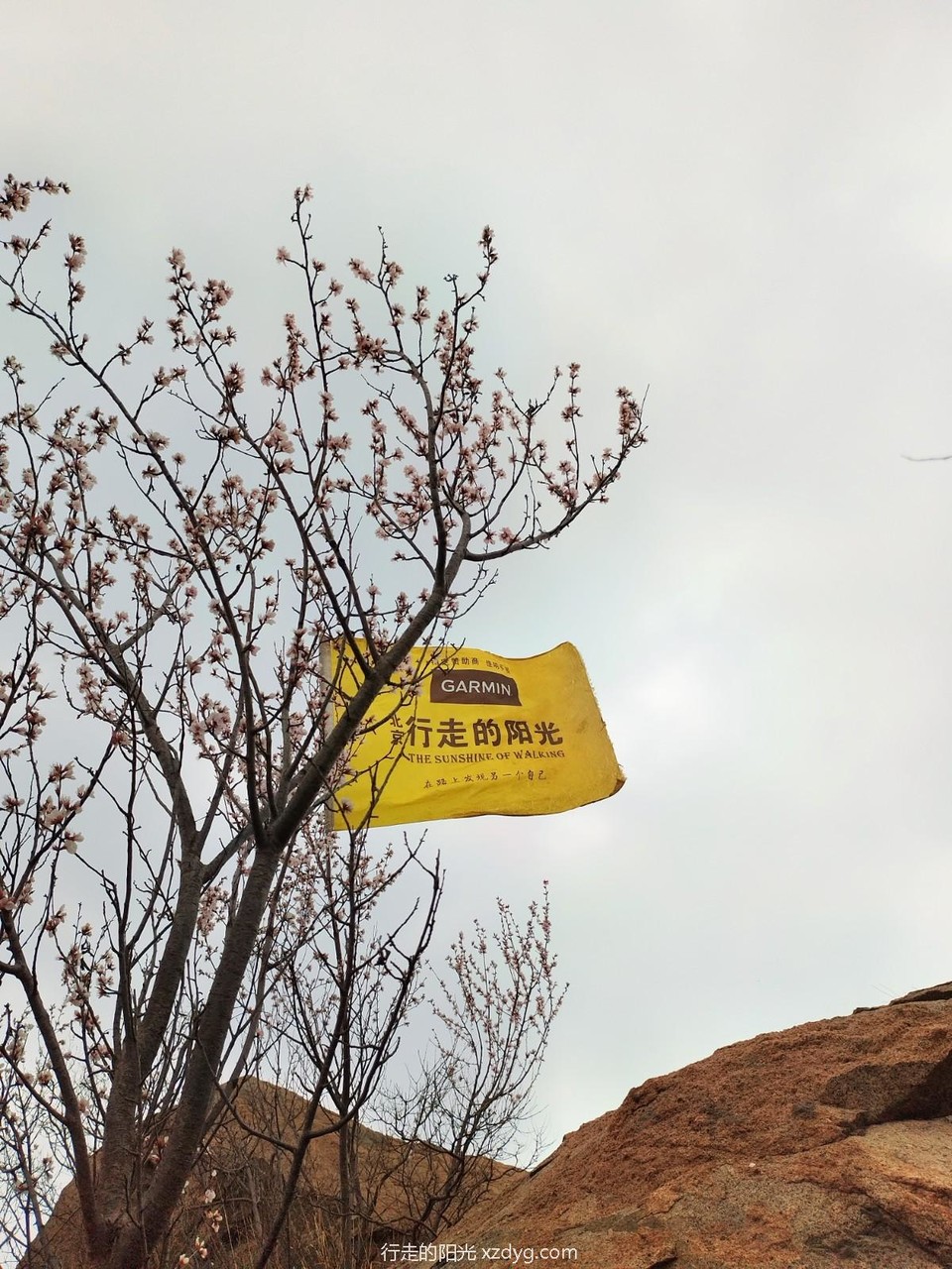 mmexport1680444208624_edit_1264621759590366