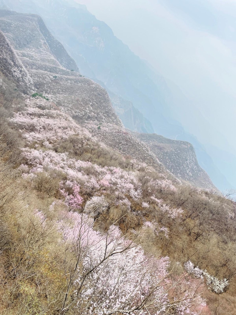 mmexport1680444341310_edit_1264604171939327