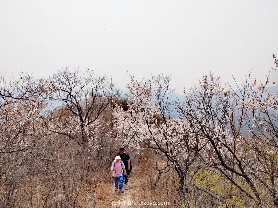 mmexport1680399253097_edit_1245689044890130