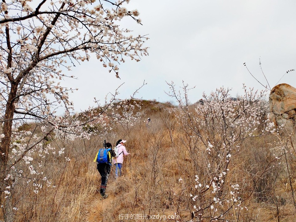 mmexport1680399275989_edit_1245681833067735