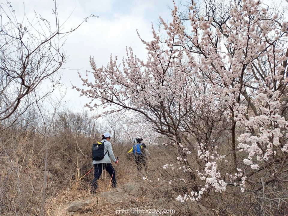 mmexport1680399300191_edit_1245674458169820