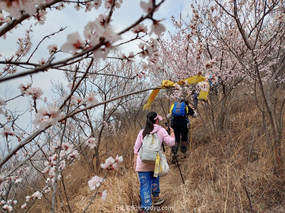 mmexport1680399316490_edit_1245667499319300