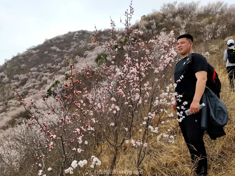 mmexport1680399395191_edit_1245660207735968