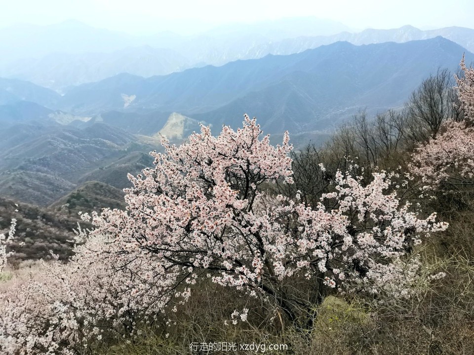 mmexport1680399426917_edit_1245653683418261