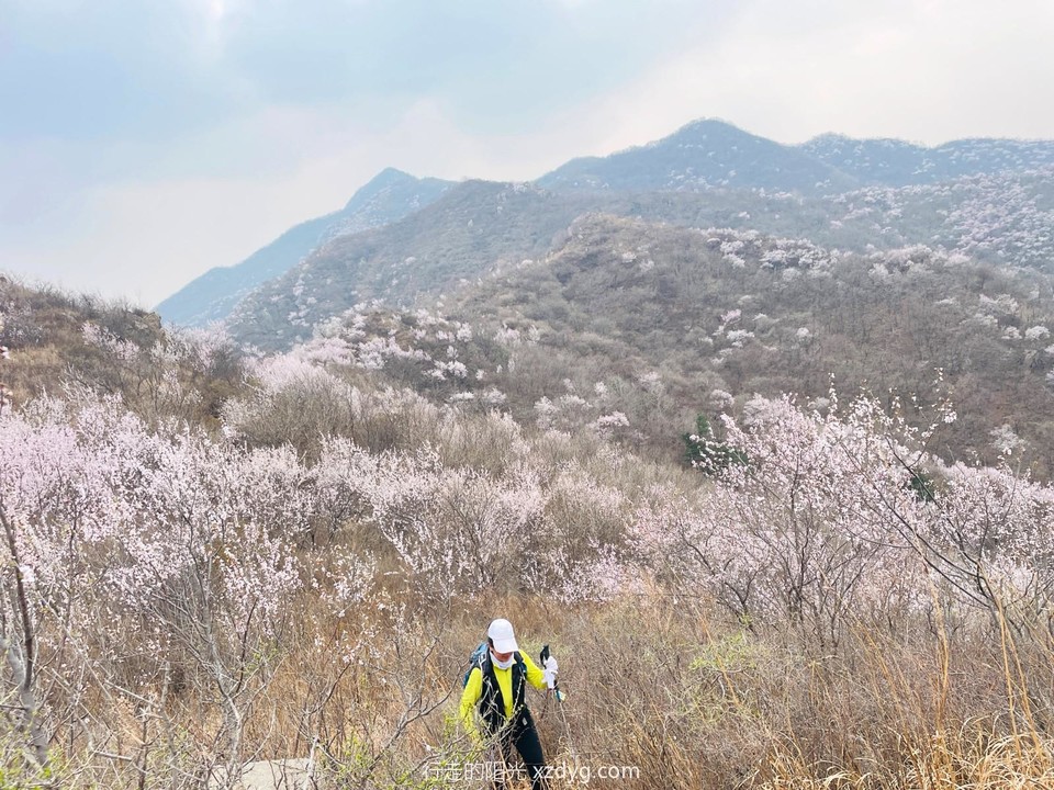 mmexport1680399449550_edit_1245647331375032