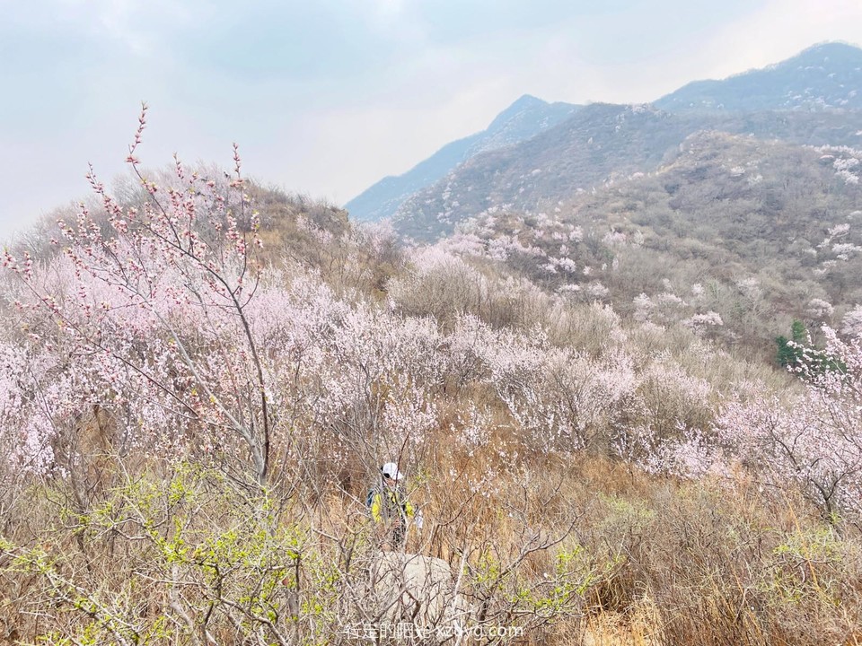 mmexport1680399461213_edit_1245635284529201