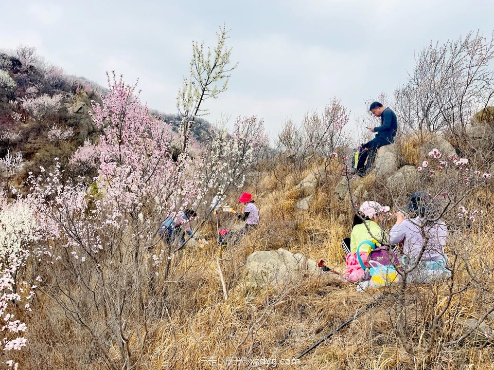 mmexport1680399599951_edit_1245562245009420