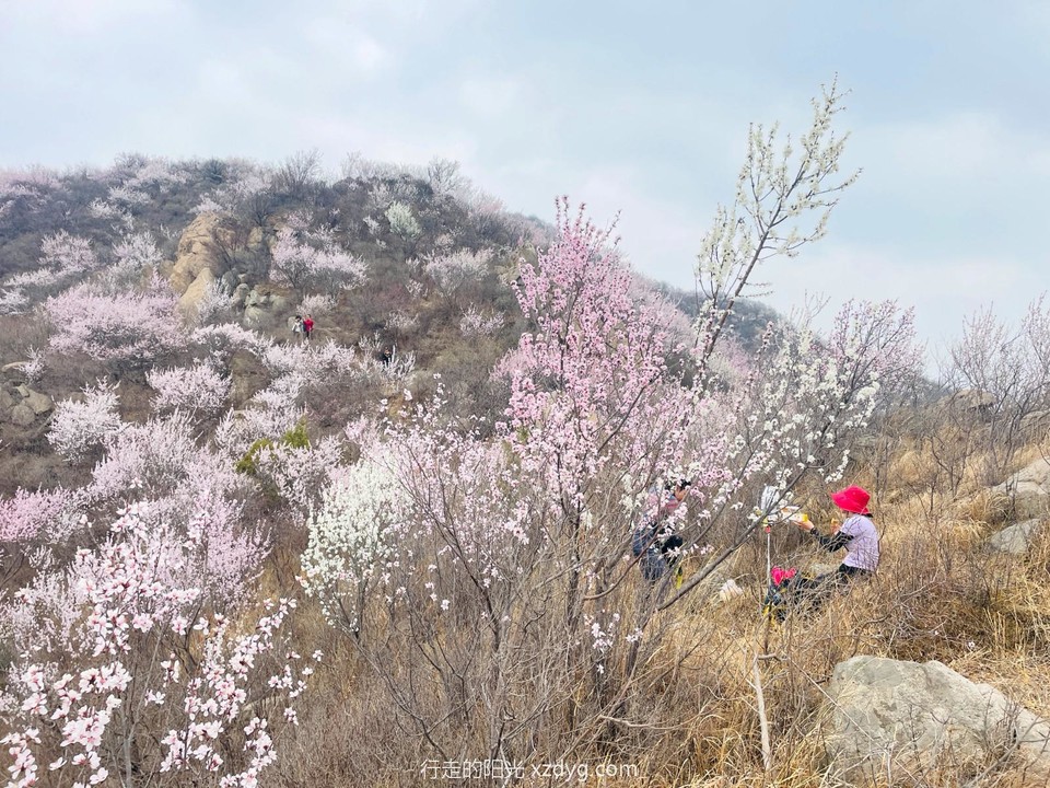 mmexport1680399610758_edit_1245551650547964