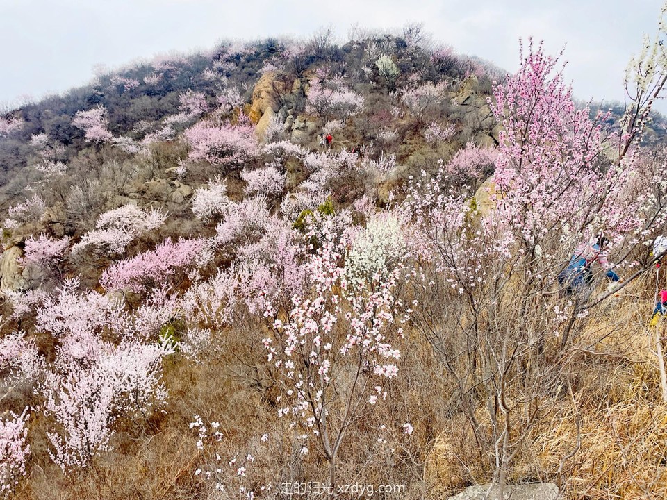 mmexport1680399622321_edit_1245539958818799