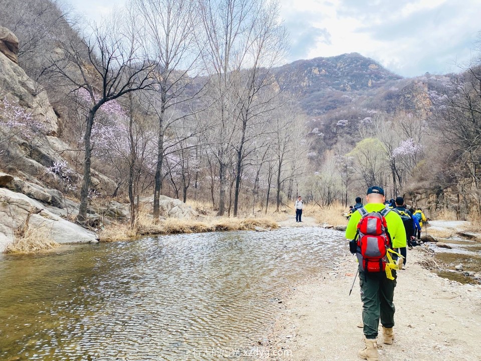 mmexport1680691527021