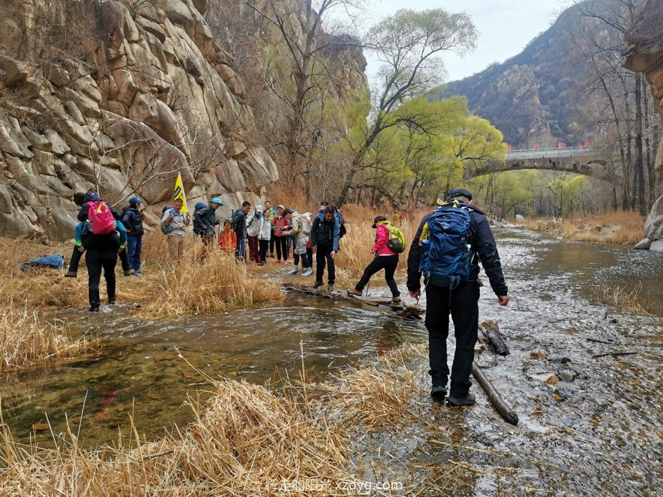 mmexport1680689048699_edit_1385414201082351