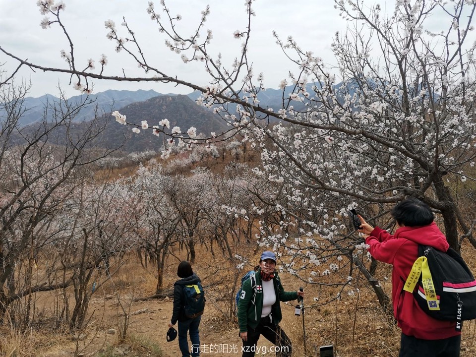 mmexport1680689066613_edit_1385408662752665