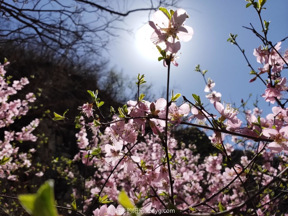 mmexport1681011672771